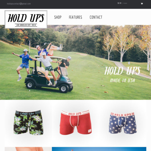 Hold Ups WordPress and WooCommerce theme design and development image